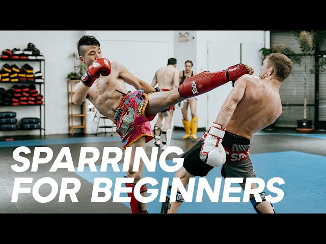 MUAY THAI SHORTS  Muay thai training, Martial arts sparring, Muay thai